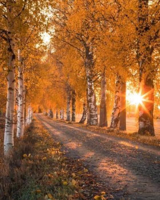 دانلود آهنگ وای غم دوریت به جونم میزنه چنگ