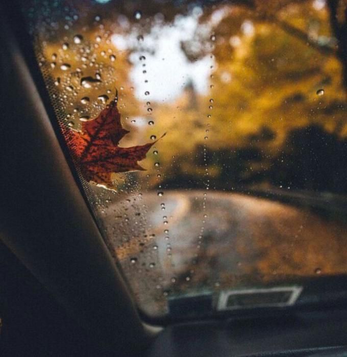 مظهر خالقی ئه ی باخ و گول و گولزاران