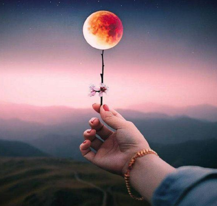 دانلود آهنگ و پاکی شلیر قسم قسم و گیس ژینا