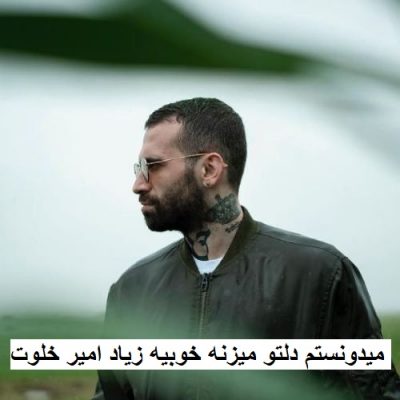 دانلود ریمیکس میدونستم دلتو میزنه خوبیه زیاد
