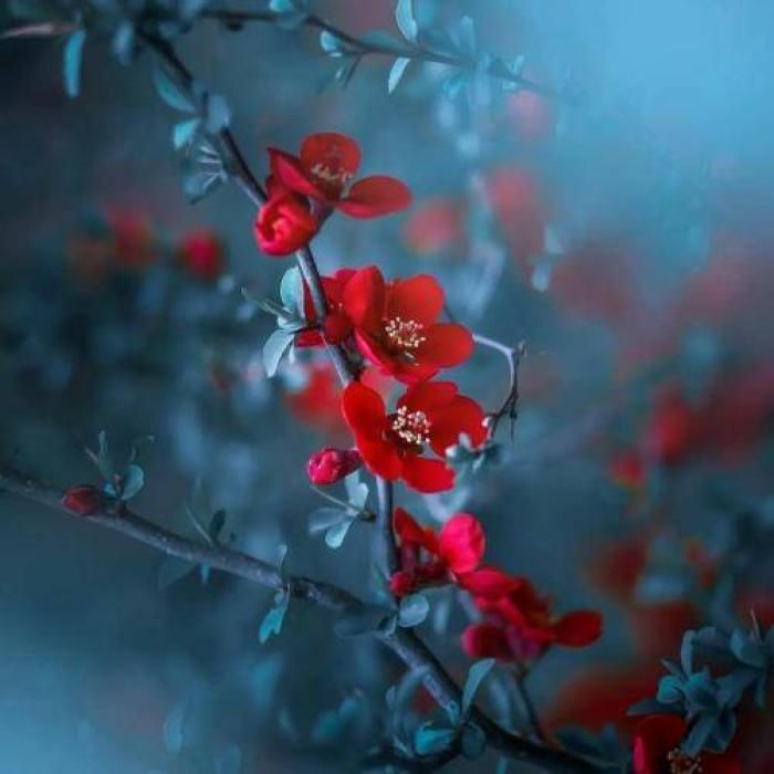 دانلود آهنگ رنگ میگیره خیلی زود دوباره آرزوم