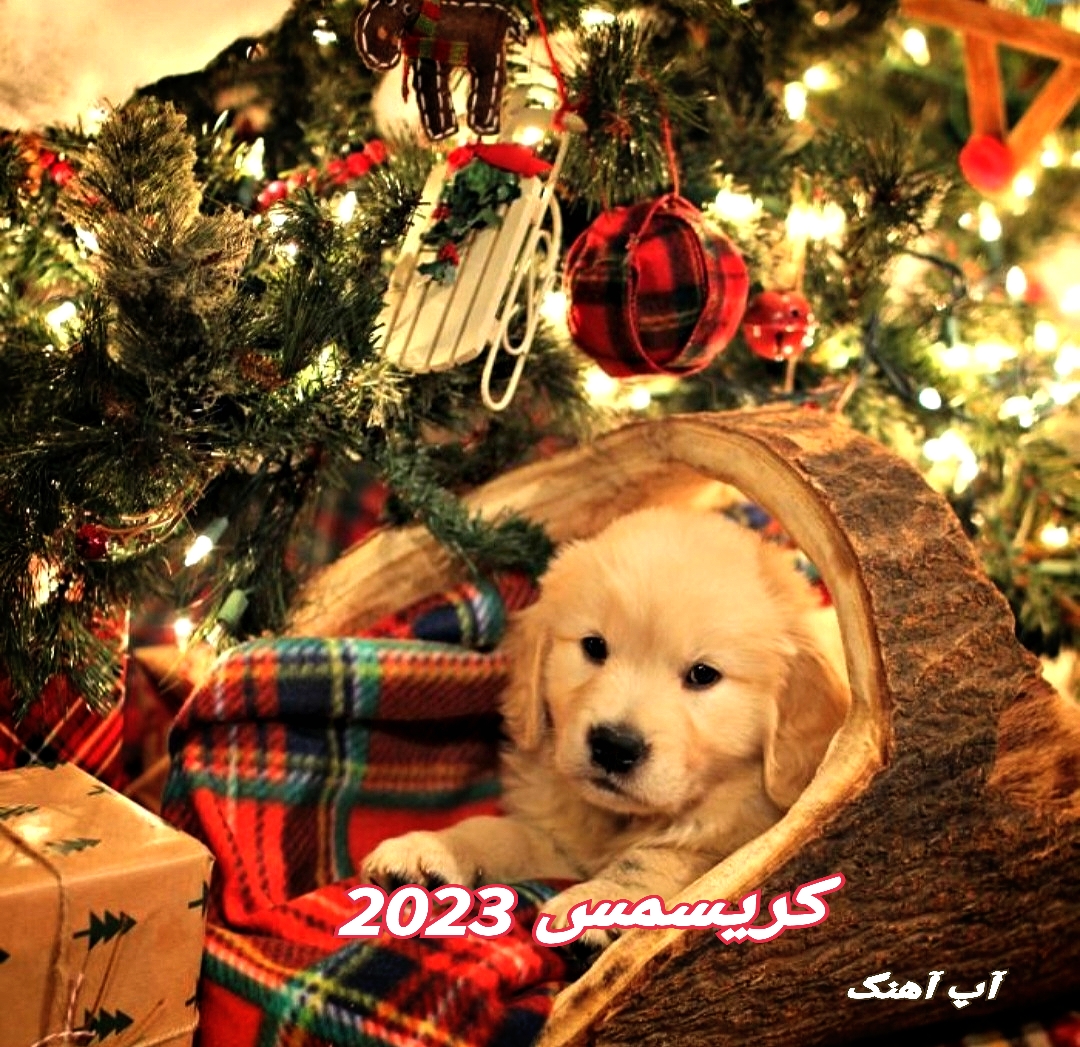 دانلود 50 آهنگ معروف ویژه جشن کریسمس Christmas 2023 - شاد پرطرفدار