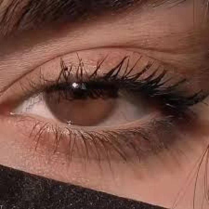 دانلود آهنگ چشمای تو بود خونم میکردی میشستی رو پام تو جمع میکردی منو دیوونم