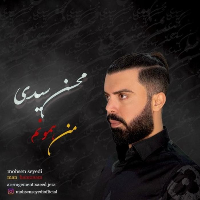 دانلود آهنگ من همونم محسن سیدی