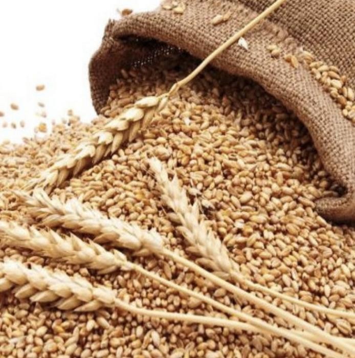 دانلود آهنگ یه عالمه زکات دادم پنجشنبه خیرات دادم به چشم زار علی
