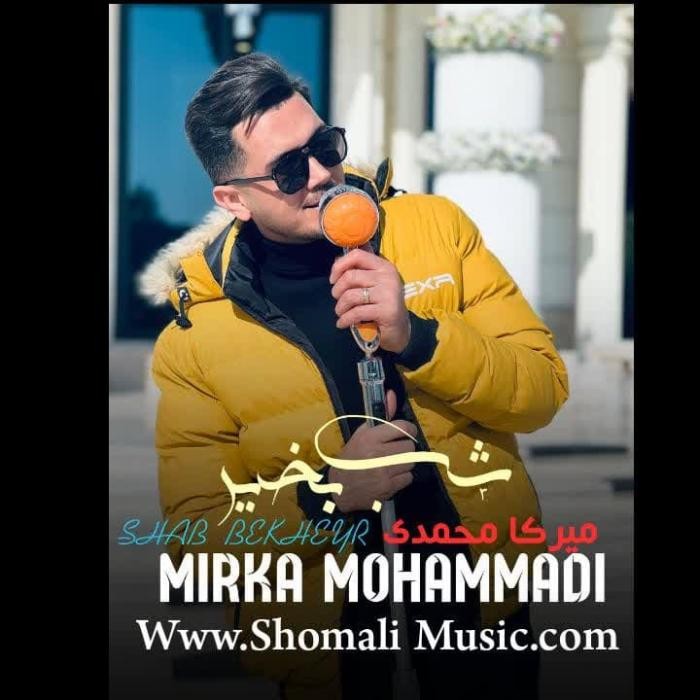  میرکا محمدی  شب بخیر