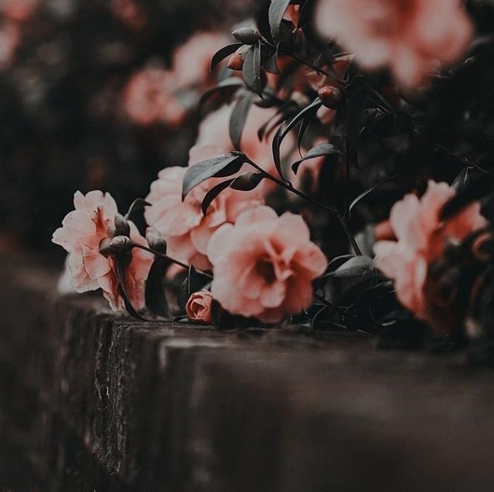 دانلود آهنگ دوباره تنها من تو همه شب ها مست چیشدن قولات پس