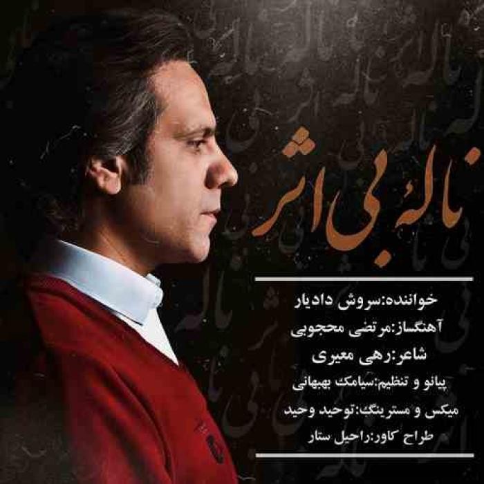 دانلود آهنگ ناله‌ بی اثر سروش دادیار