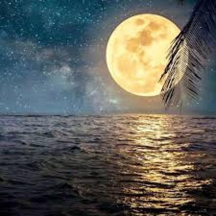 دانلود آهنگ من نباشم حرفتو گلتو درد و دلتو به کی بگی