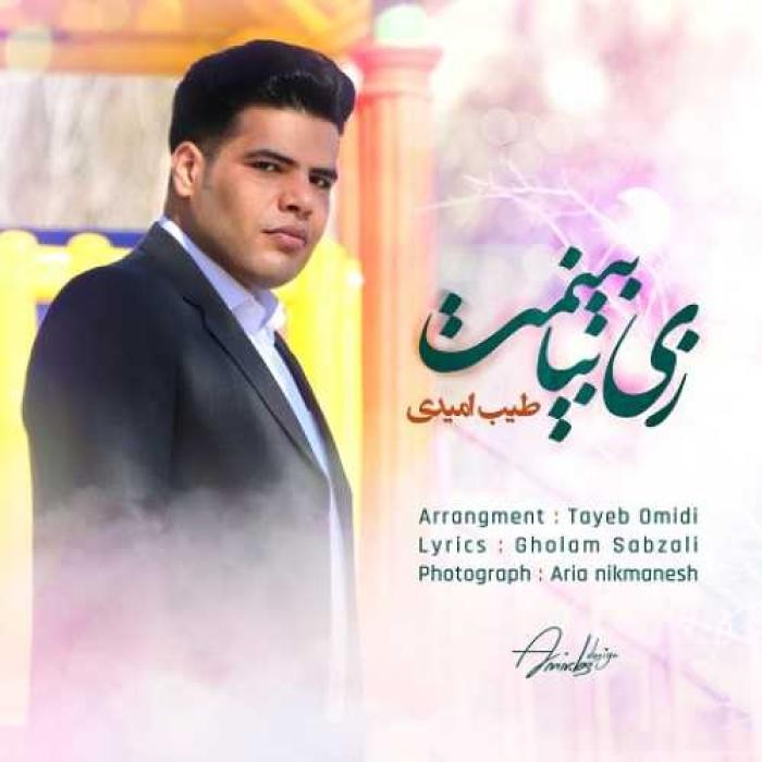 دانلود آهنگ زی بیا بینمت طیب امیدی