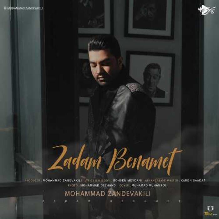 دانلود آهنگ زدم به نامت محمد زندوکیلی