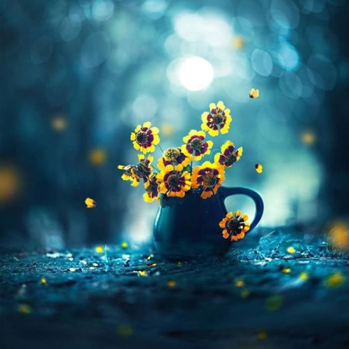دانلود آهنگ منم شدم مثل خلا گم شدم لای گلا (گلها)