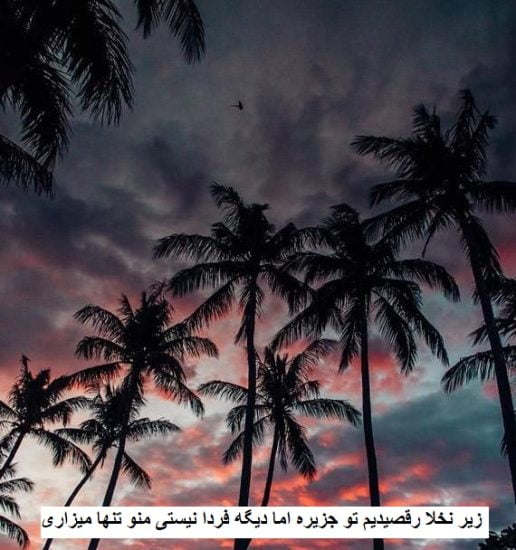 "زیر