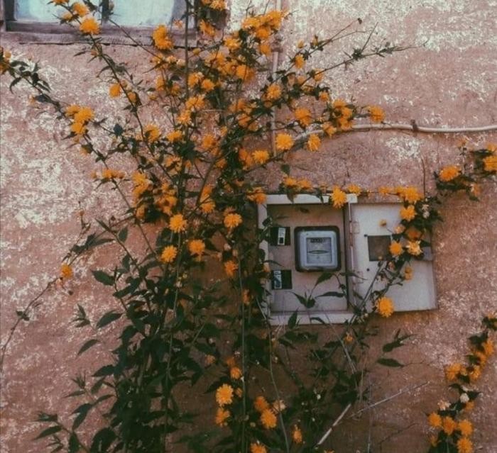 دانلود آهنگ وقتی که تو داری لی لی میکنی لا ریتما ال ای میکنیم