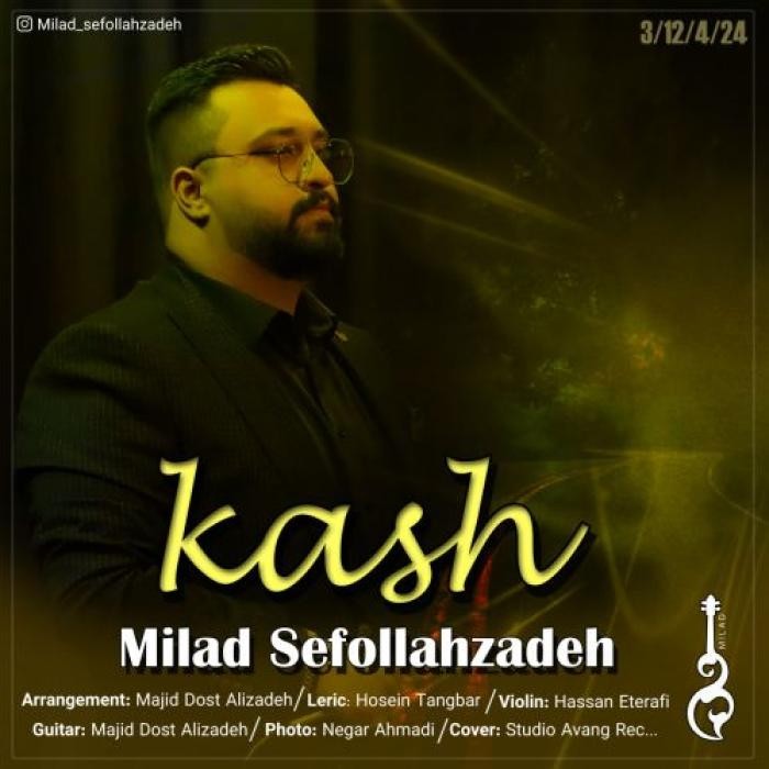 میلاد سیف الله زاده کاش
