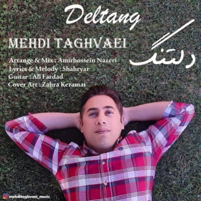 دانلود آهنگ دلتنگ که میشم مهدی تقوایی