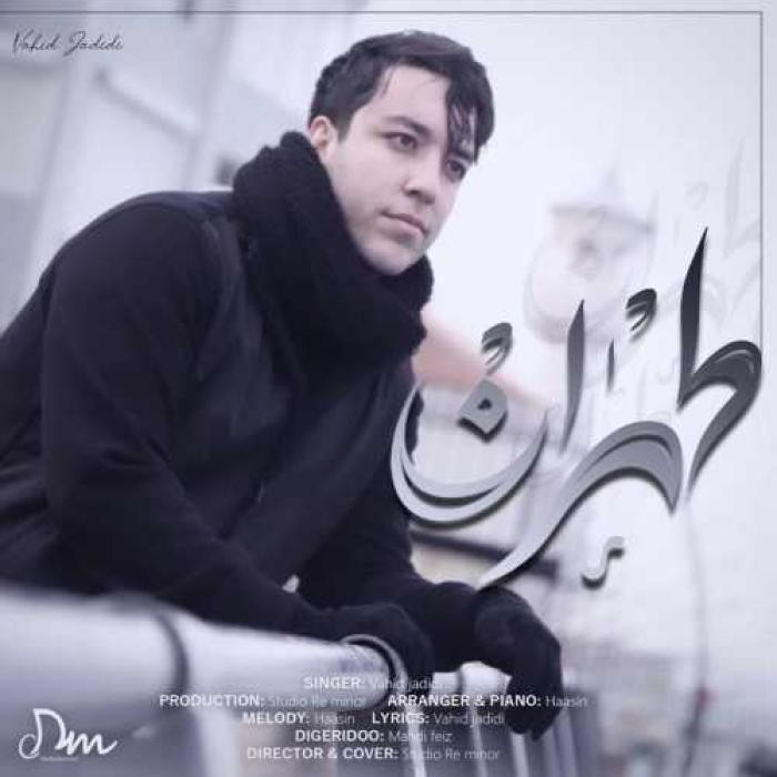 دانلود آهنگ طهران وحید جدیدی