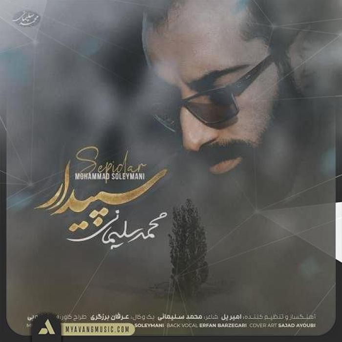دانلود آهنگ سپیدار محمد سلیمانی