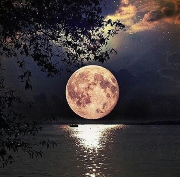 دانلود آهنگ پرسید از شب و تفریحام منو قبلیام رد و ردیام