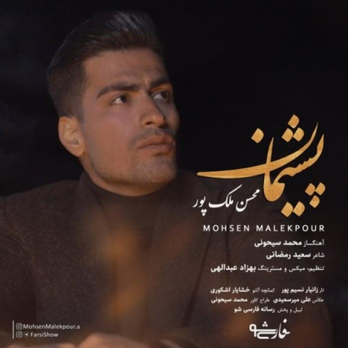 دانلود آهنگ پشیمان محسن ملک پور
