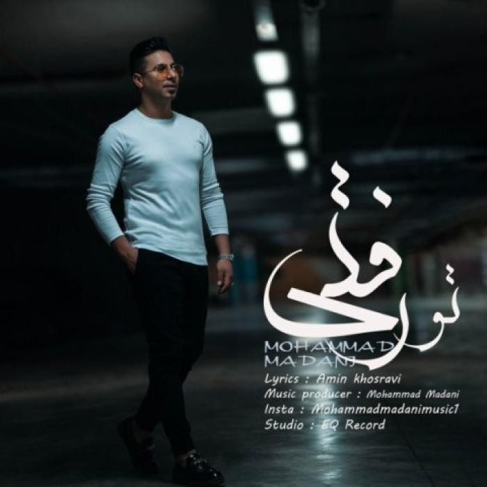 دانلود آهنگ تو رفتی محمد مدنی