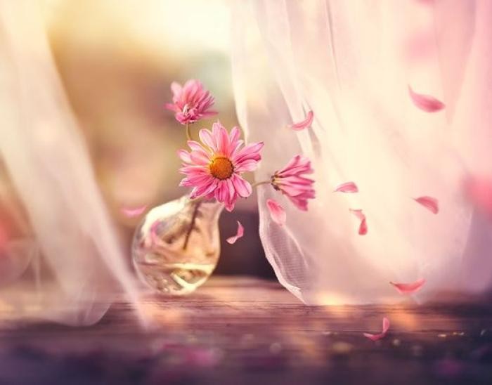 مجید حسینی آی پسر شی بابای دا آی تی هیراهیرای داا