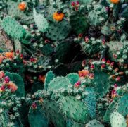 بازم نشستی روبروم مات تماشای تو مهستی
