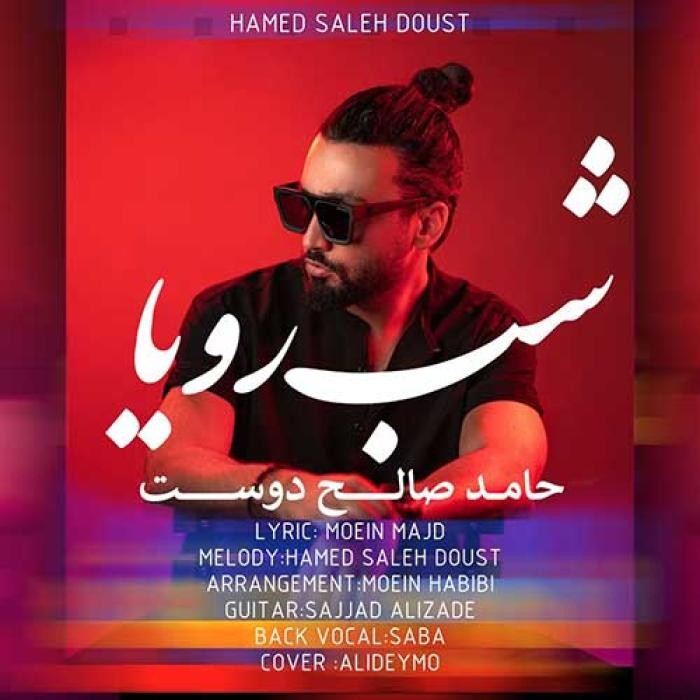 دانلود آهنگ شب رویا حامد صالح دوست