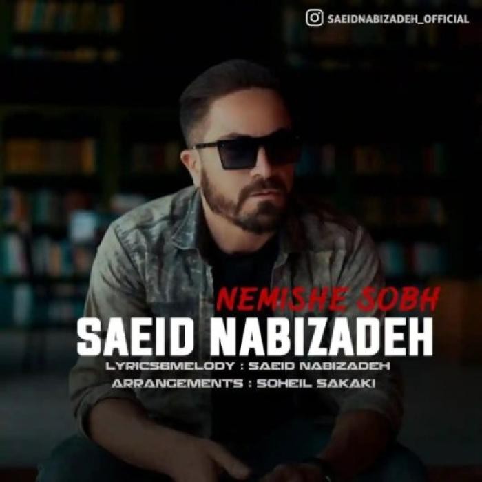 دانلود آهنگ نمیشه صبح سعید نبی زاده