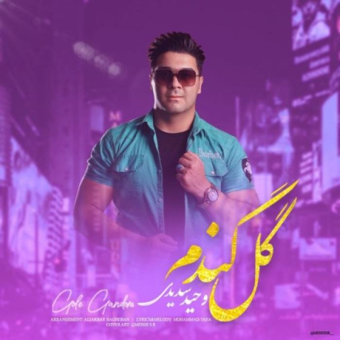 دانلود آهنگ گل گندم وحید سدیدی
