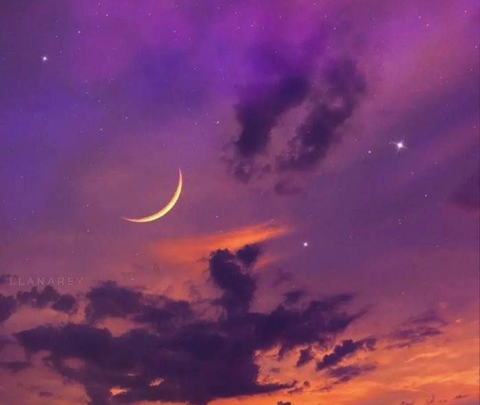 دانلود آهنگ مجنونت شدم دانیال کلالی