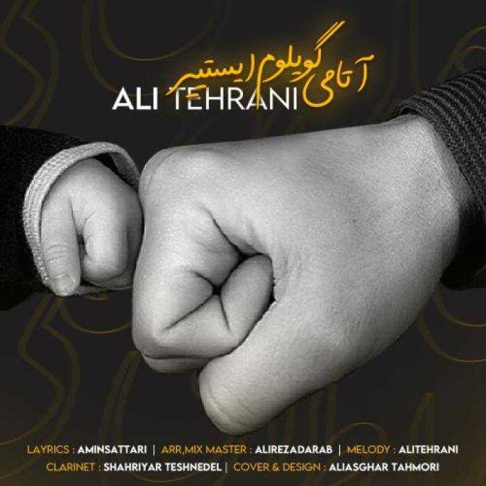 علی تهرانی آتامی گویلوم ایستییر