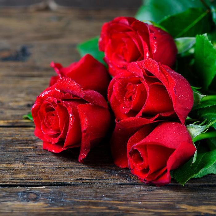 دانلود آهنگ بیبی هیچی دائمی نی حتی حس بین ما پس نمون