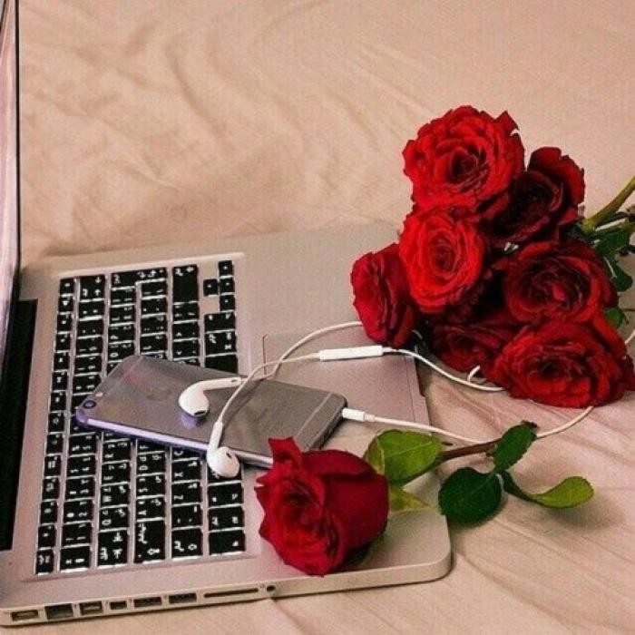 دانلود آهنگ پر پریم ولی بریز میخوایم بشیم کله پا