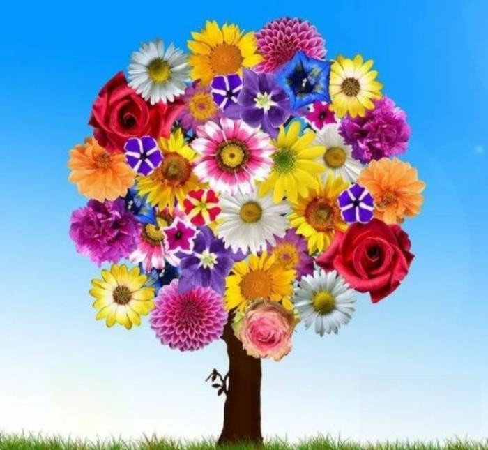 دیجی امین عشق یعنی تو یعنی چشم و ابرو