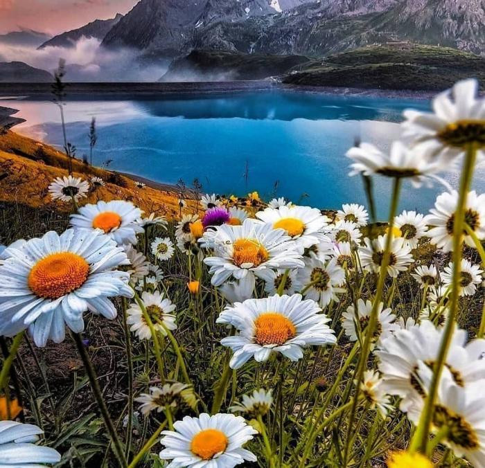 دانلود آهنگ تا منو میبینه و میزنه یخ اون بدن سبزه و موهای لخت