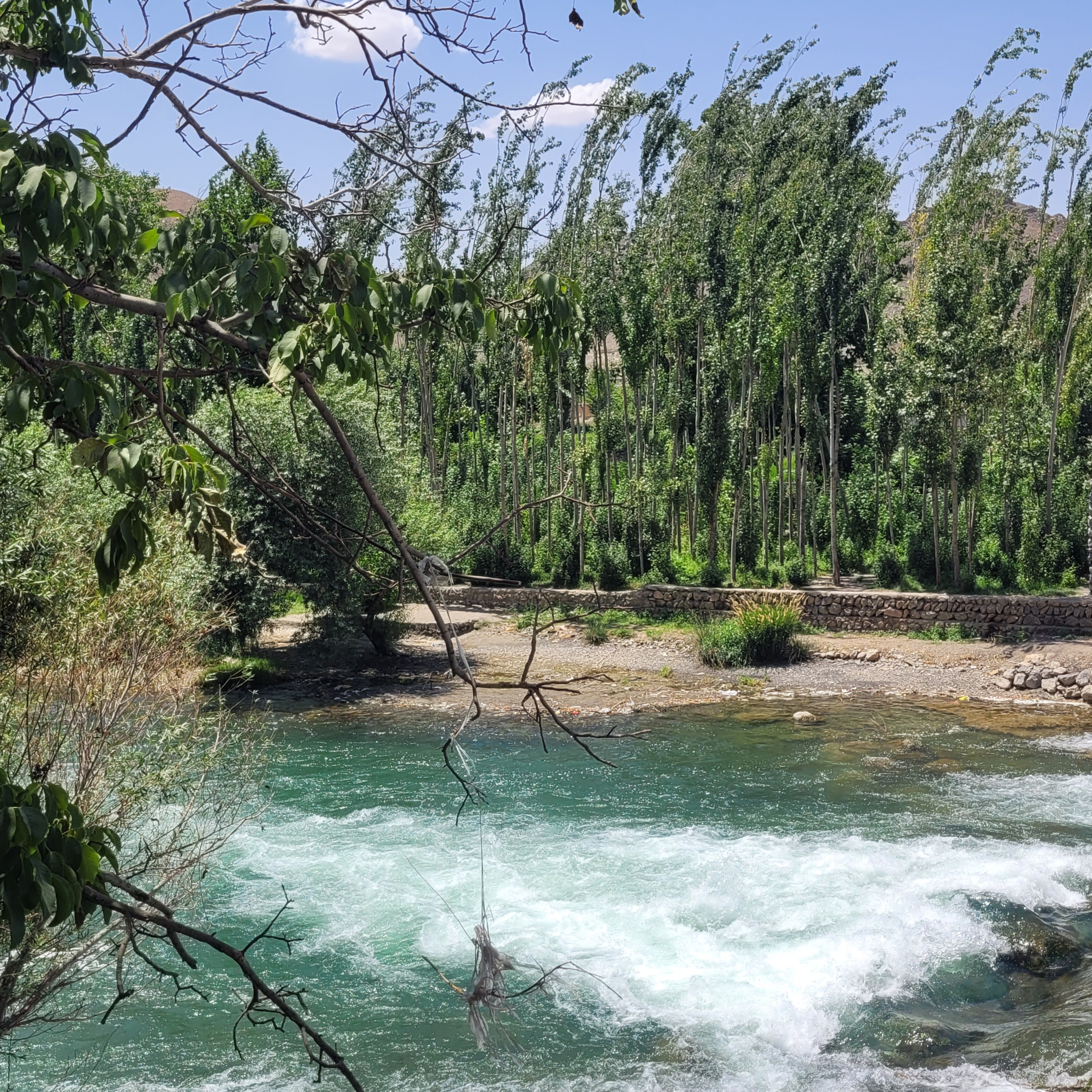 خانمی کن و صبر کن بازم امروز جشن میگیریم ماریان