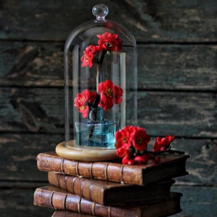 دانلود آهنگ خدا ای دادو بیداد روی آجرای کوچیک دیوار قلبم