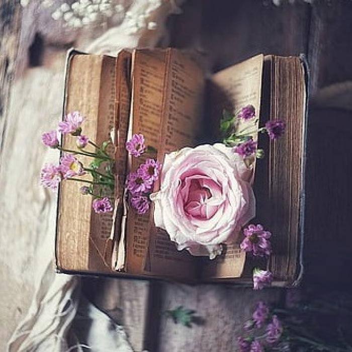 دانلود آهنگ ای فلک بوچ من دورله لیلا بم
