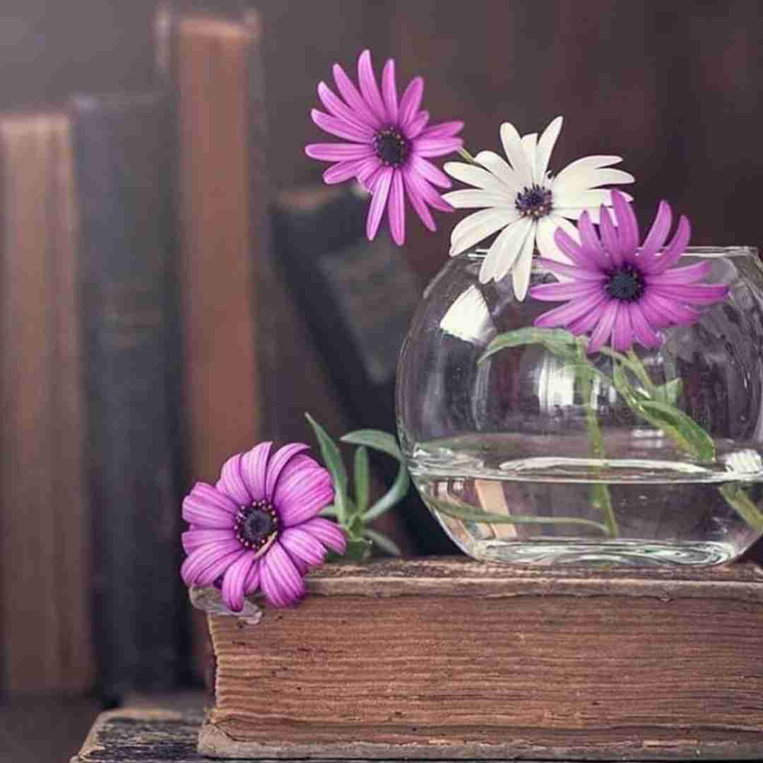 دانلود آهنگ لری پرونده دست قاضی میگن که شاکی نازیه