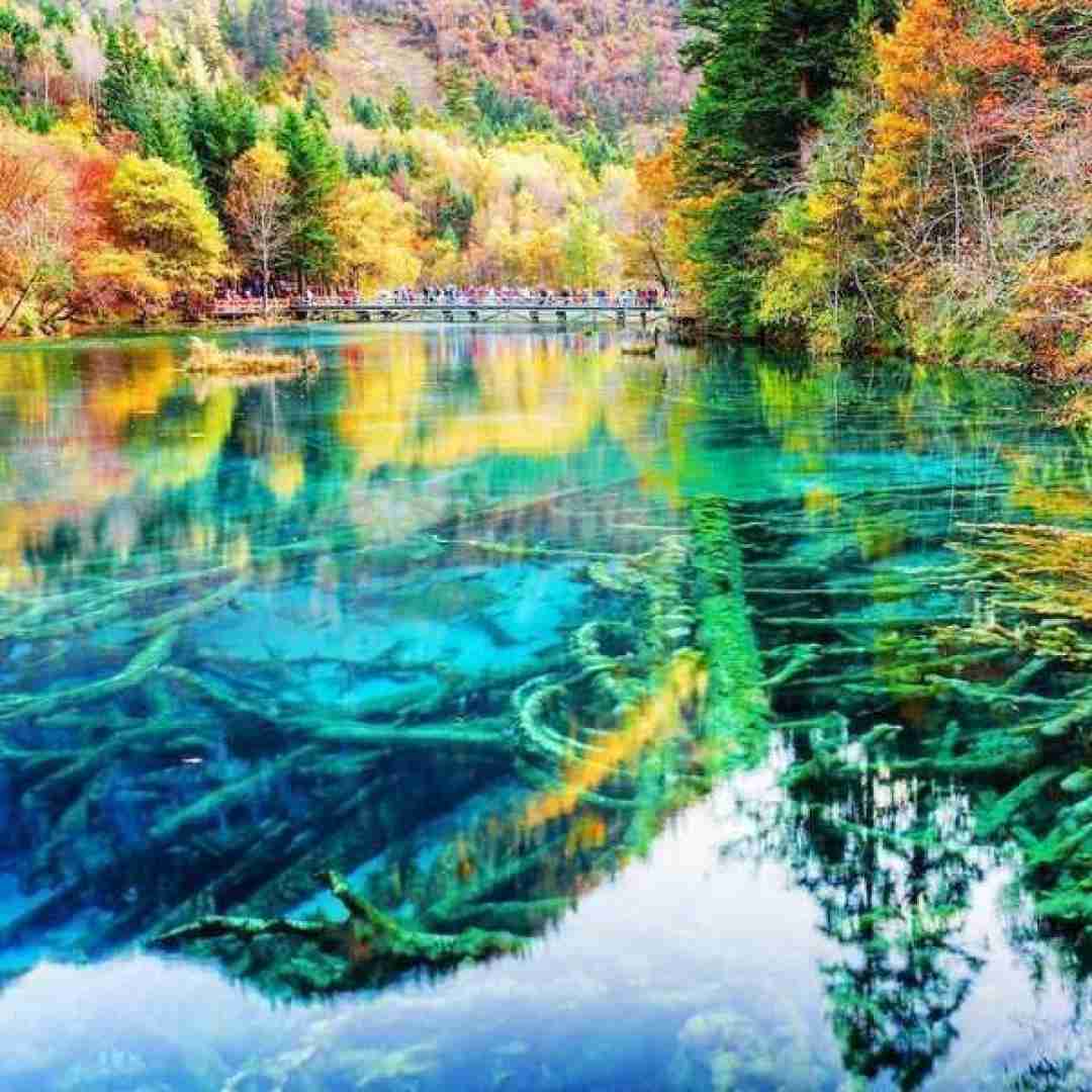 دانلود آهنگ حلقه رو بکن بره تو جوب