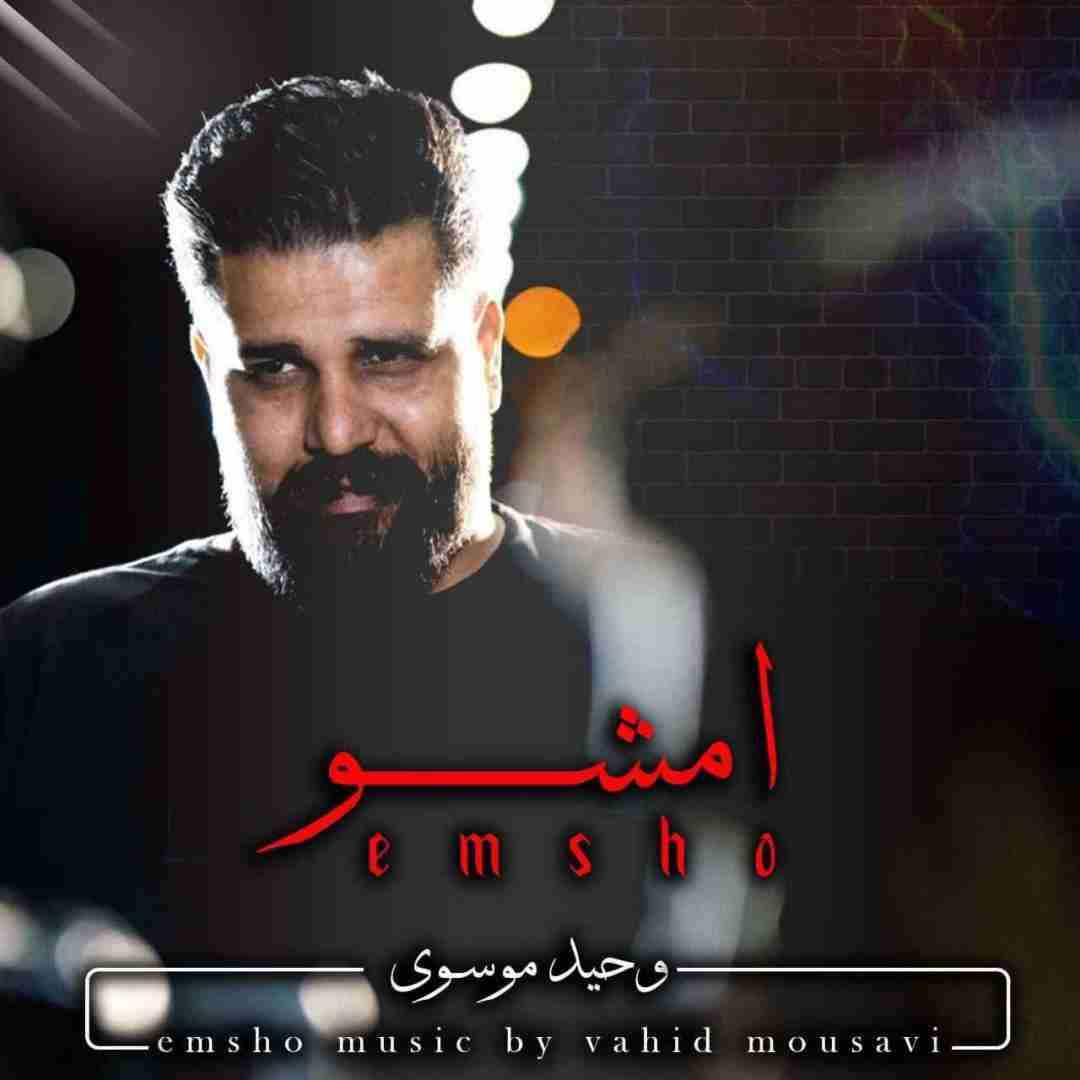 سید وحید موسوی امشو