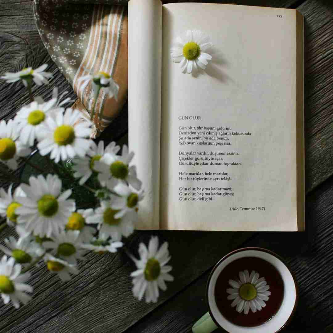دانلود آهنگ دست من نیست میدونی دله دیگه تنگ میشه