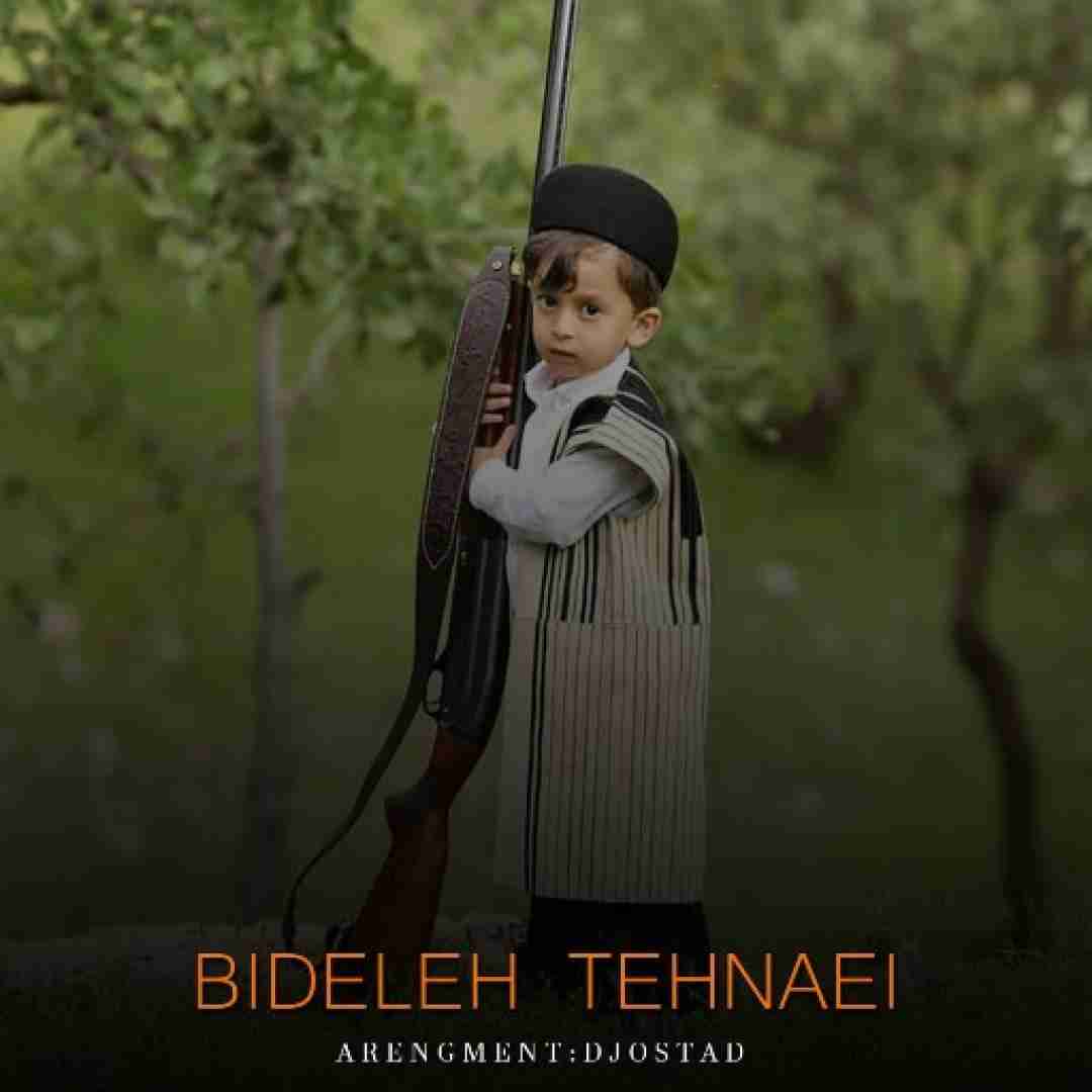دیجی استاد بیدله تنهایی