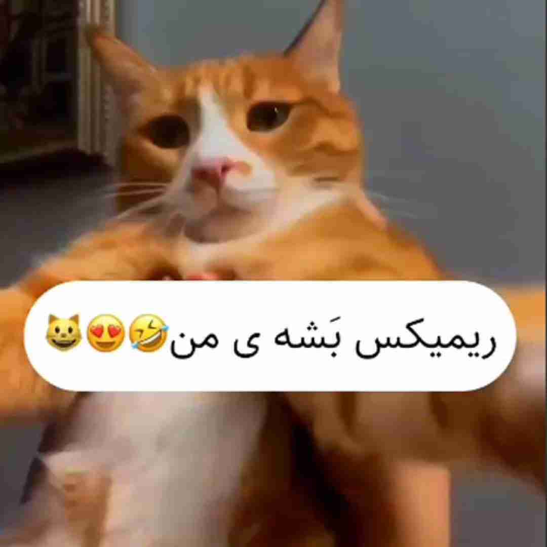 دانلود آهنگ بشه منه فداش بشم منه