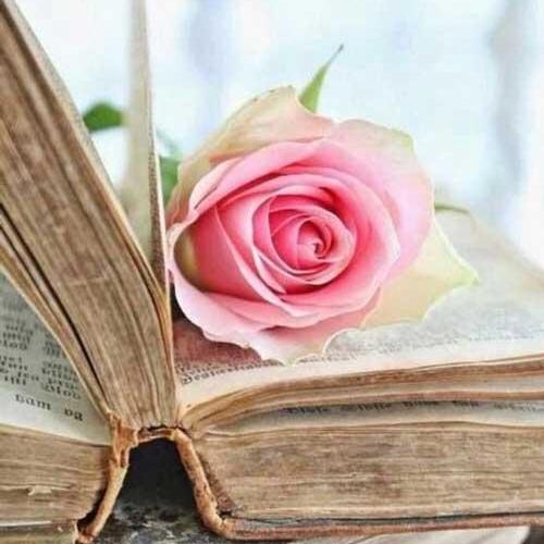 دانلود آهنگ جدید در یک رویا امشب شب ماست دارم با تو میرقصم