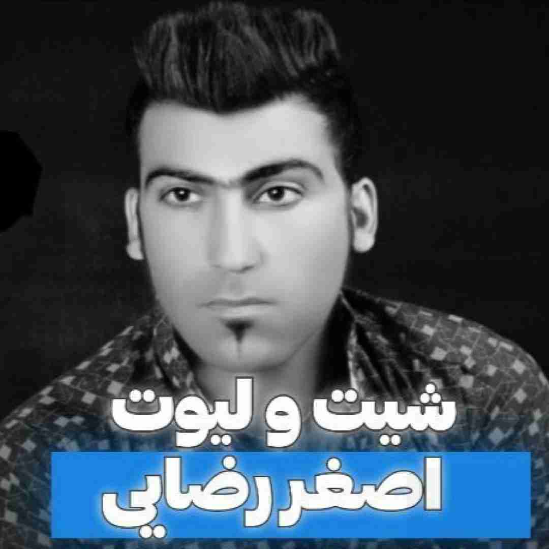 اصغر رضایی شیت و لیوت