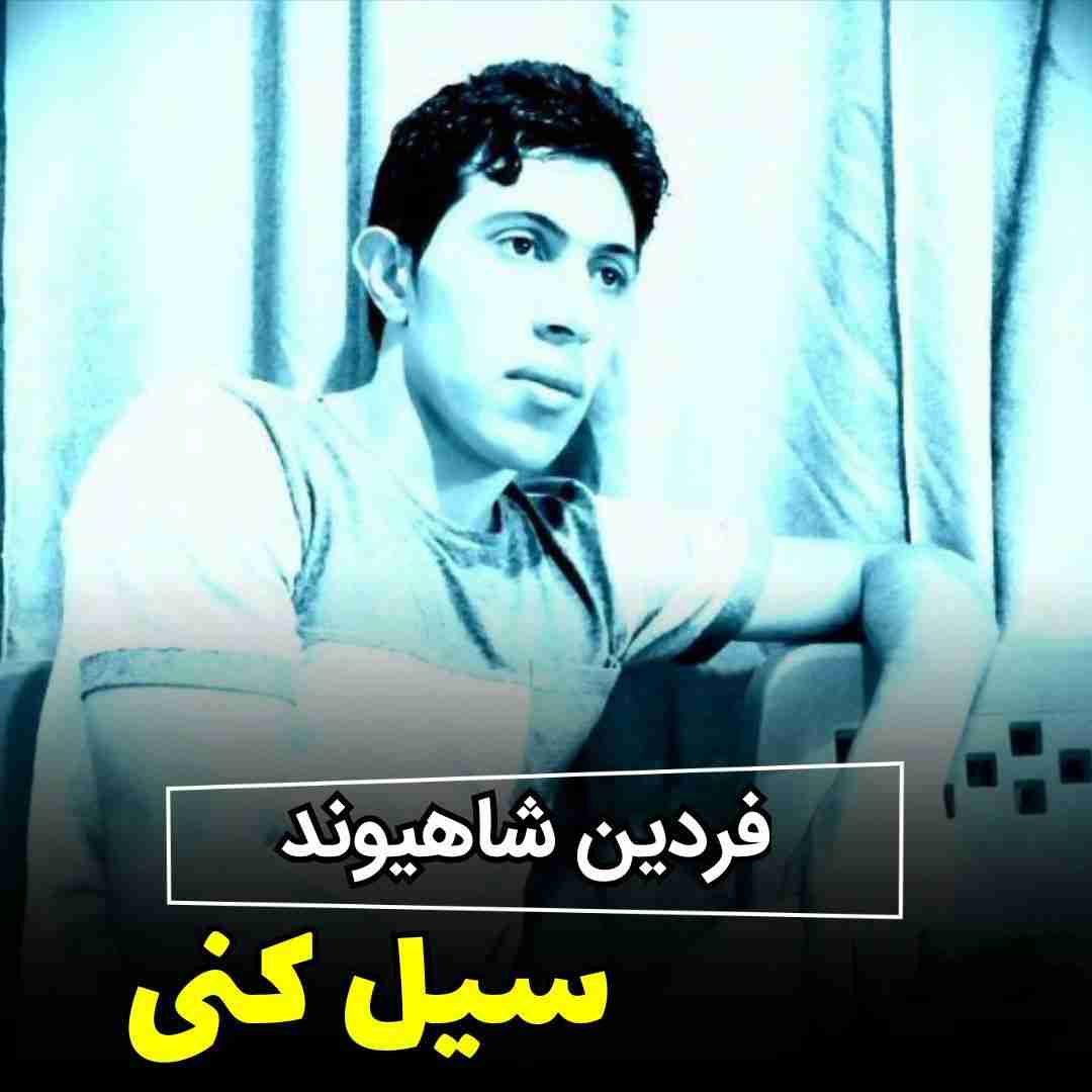 دانلود آهنگ سیل کنی فردین شاهیوند