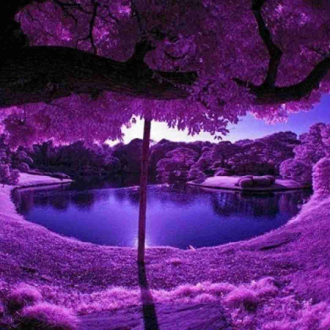 دانلود آهنگ بی تو همه خاطره هات مغزمو کشت