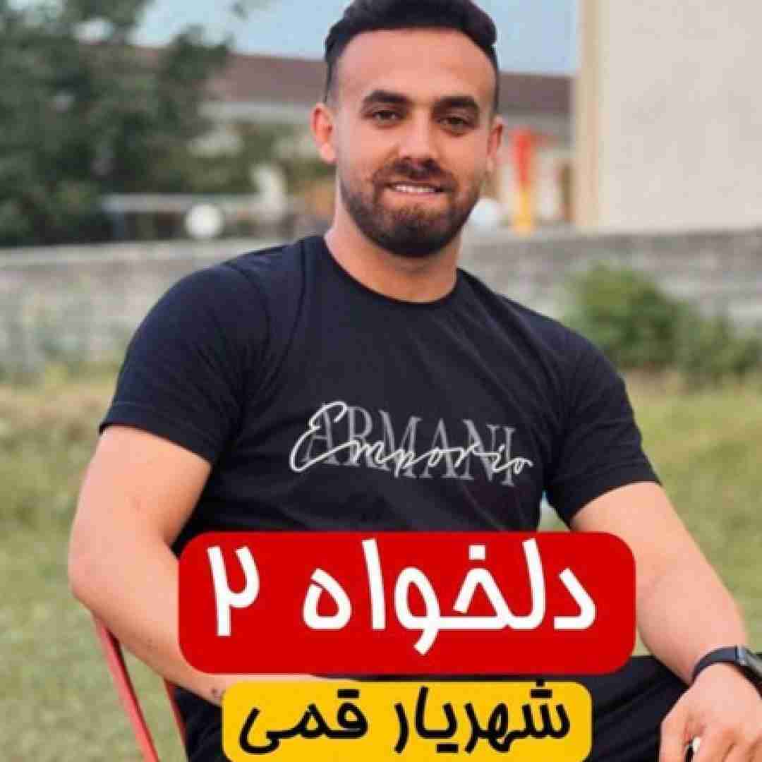 شهریار قمی دلخواه 2